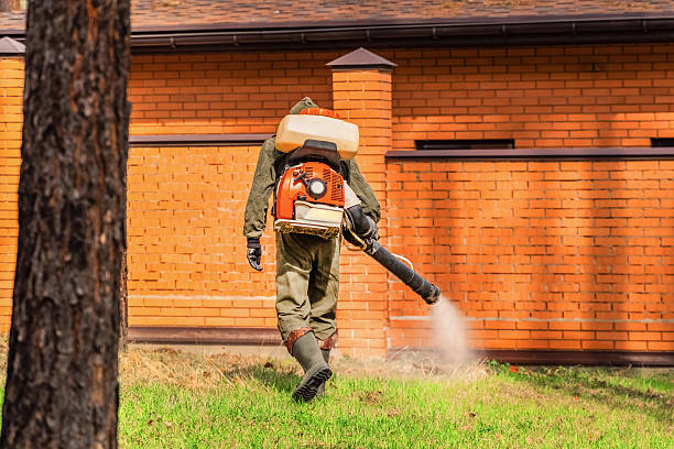 Trusted Cockroach Control service in Heritage Hills, NY - Nex Pest Control